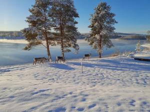 A cozy house with a guesthouse by the river
