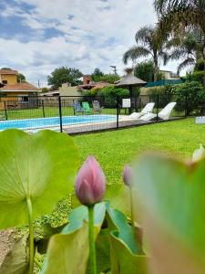 Cabañas Lauquen Villa Carlos Paz