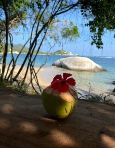 Arrecifes Refugio Natural