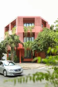 Kin Wander Tân Phong - Tan Phong