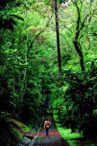 Casita Bosque Briones