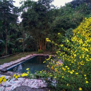 Petrichor Forest Retreat