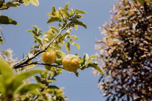 St Helens shack with pool and water views
