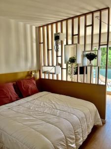 Studio calme avec vue sur un grand Pin parasol