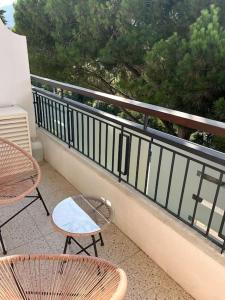 Studio calme avec vue sur un grand Pin parasol