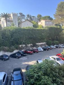 Studio calme avec vue sur un grand Pin parasol