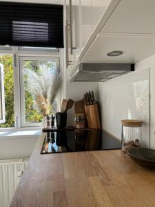 Central Apartment Aalborg C - Sorin