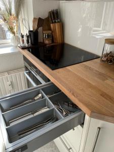 Central Apartment Aalborg C - Sorin