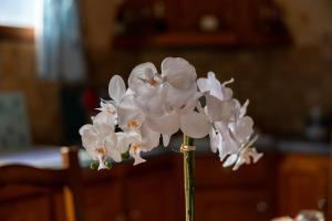 Villa Chouchou Côte Atlantique n2