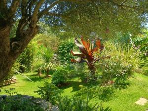 Maisons de vacances G1 les oliviers : photos des chambres