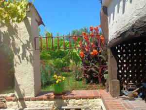 Maisons de vacances G1 les oliviers : photos des chambres