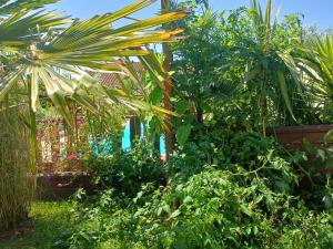 Maisons de vacances G1 les oliviers : photos des chambres