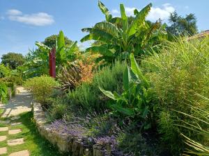 Maisons de vacances G1 les oliviers : photos des chambres