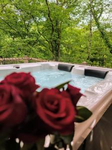 Lodges Nid'en'O cabanes et spa Lot et Dordogne : photos des chambres