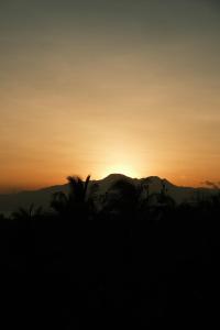 Jungle KingDomes Guest House