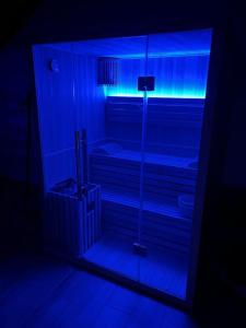 Appartements Superbe appartement jacuzzi beaune centre : photos des chambres