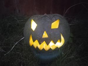 Maisons de vacances gite les rosiers au domaine des Sauvineries : photos des chambres