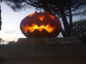 Maisons de vacances gite les rosiers au domaine des Sauvineries : photos des chambres