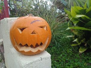 Maisons de vacances gite les rosiers au domaine des Sauvineries : photos des chambres