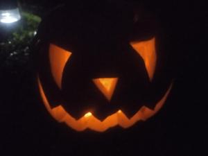 Maisons de vacances gite les rosiers au domaine des Sauvineries : photos des chambres