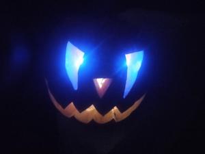 Maisons de vacances gite les rosiers au domaine des Sauvineries : photos des chambres