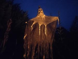 Maisons de vacances gite les rosiers au domaine des Sauvineries : photos des chambres