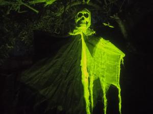 Maisons de vacances gite les rosiers au domaine des Sauvineries : photos des chambres