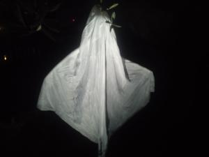 Maisons de vacances gite les rosiers au domaine des Sauvineries : photos des chambres