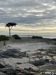 Appartements Ty Sarah Lomener Beach appartement : Appartement 2 Chambres