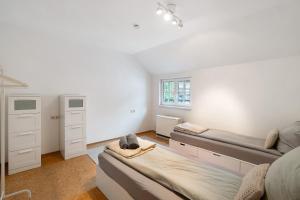 Altbau-Wohnung Im Loftstyle