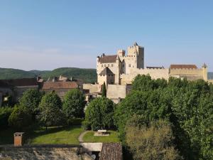 Maisons de vacances DREAM HOUSE in front of CHATEAU DE BEYNAC in Perigord , Dordogne : photos des chambres