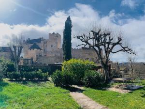 Maisons de vacances DREAM HOUSE in front of CHATEAU DE BEYNAC in Perigord , Dordogne : photos des chambres