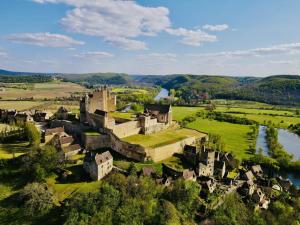 Maisons de vacances DREAM HOUSE in front of CHATEAU DE BEYNAC in Perigord , Dordogne : photos des chambres