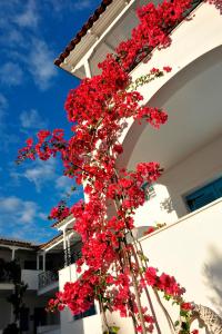 Odyssey Suites Poros-Island Greece