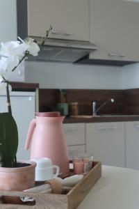 Appart'hotels Oh Activ Salon-de-Provence : photos des chambres