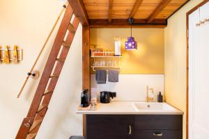 The Disco Duck - 15 guests - city centre Zwolle