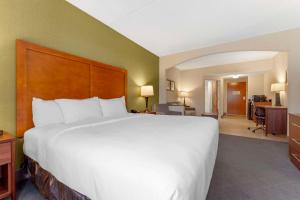 One-Bedroom Suite 1 King Bed- Non-Smoking room in Comfort Inn & Suites - LaVale - Cumberland