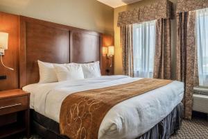 King Suite - Non-Smoking room in Comfort Suites Near Texas State University