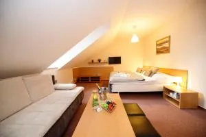 Hotel Modrásek - Rejštejn