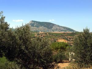 Ciuri Affittacamere
