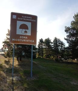 El descanso de las hadas