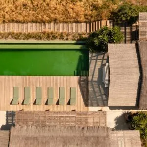 Flor de Arroz - Carvalhal