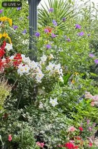 Quiet Comfort for Relaxing Stays - Пойнт-Кук