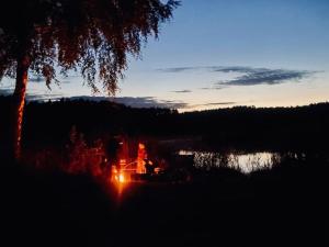 #1 Lakeview Paradise in Mazury, pets welcome