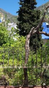 Dar Ennadi Terrace & Tranquility