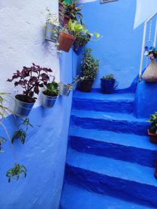 Dar Ennadi Terrace & Tranquility