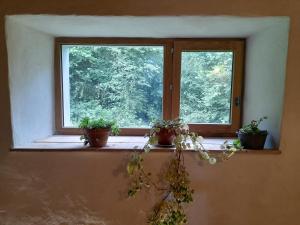 Appartements Gites Estivade a Lourdios : photos des chambres