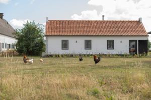 Gastenverblijf Begheynhof