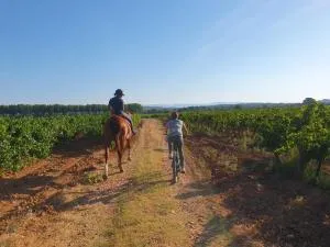 Chambre d'hôte Belle Vue - Vins-sur-Caramy