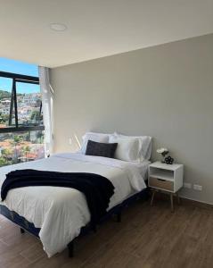 Cielito Lindo, vista espectacular en 11 nivel